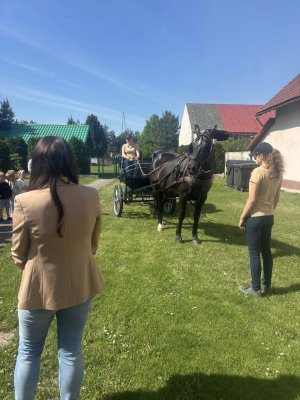 Grafika dekoracyjna